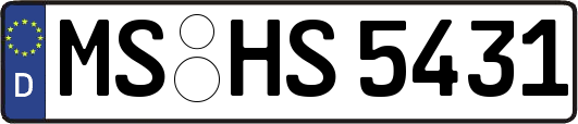 MS-HS5431
