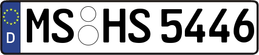 MS-HS5446