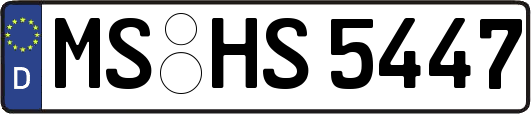 MS-HS5447