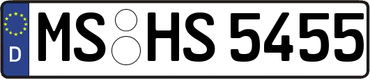MS-HS5455