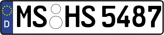 MS-HS5487
