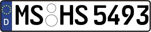 MS-HS5493