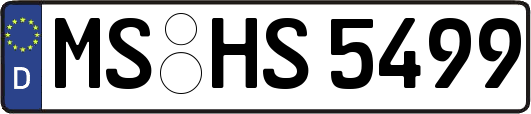 MS-HS5499