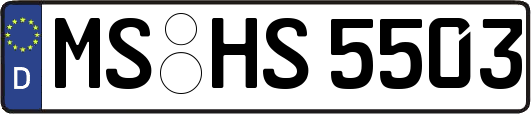 MS-HS5503