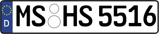 MS-HS5516