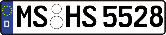 MS-HS5528