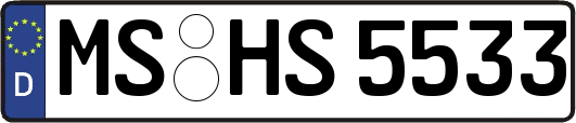 MS-HS5533