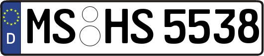 MS-HS5538