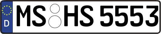 MS-HS5553