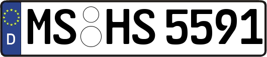 MS-HS5591