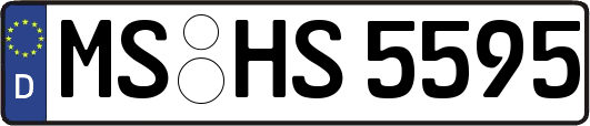 MS-HS5595