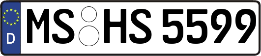MS-HS5599