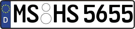 MS-HS5655
