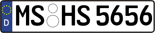 MS-HS5656
