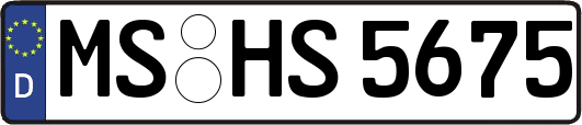 MS-HS5675