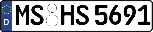 MS-HS5691