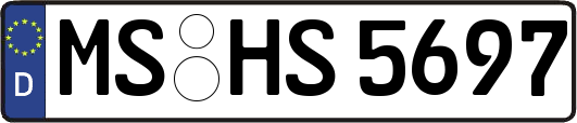 MS-HS5697