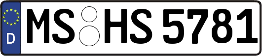 MS-HS5781