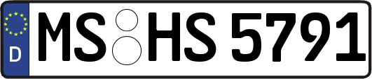 MS-HS5791