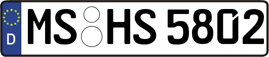 MS-HS5802