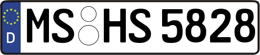 MS-HS5828