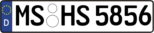 MS-HS5856