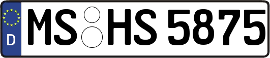 MS-HS5875