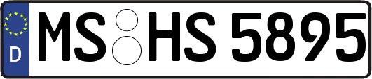 MS-HS5895