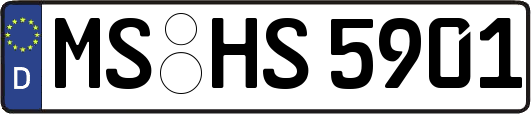 MS-HS5901
