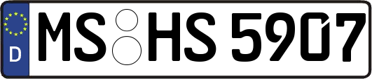 MS-HS5907