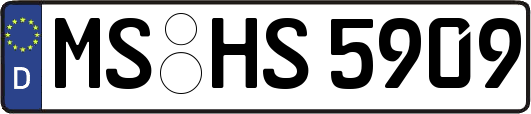 MS-HS5909