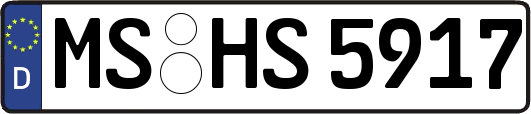 MS-HS5917