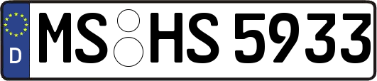MS-HS5933