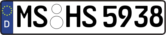 MS-HS5938