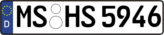 MS-HS5946