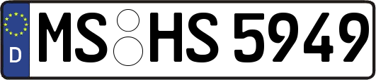 MS-HS5949