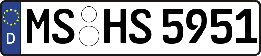MS-HS5951