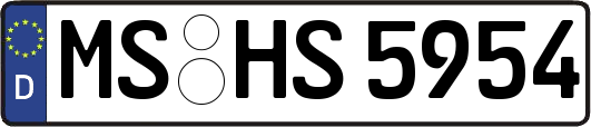 MS-HS5954