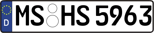 MS-HS5963