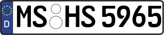 MS-HS5965