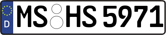 MS-HS5971