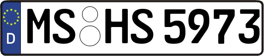 MS-HS5973