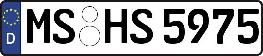 MS-HS5975