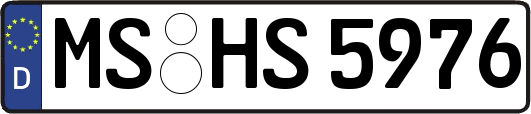 MS-HS5976