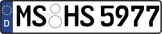 MS-HS5977