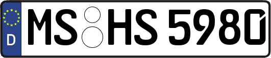 MS-HS5980
