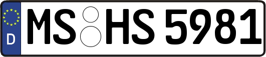 MS-HS5981