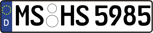 MS-HS5985