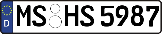 MS-HS5987