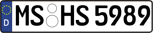 MS-HS5989